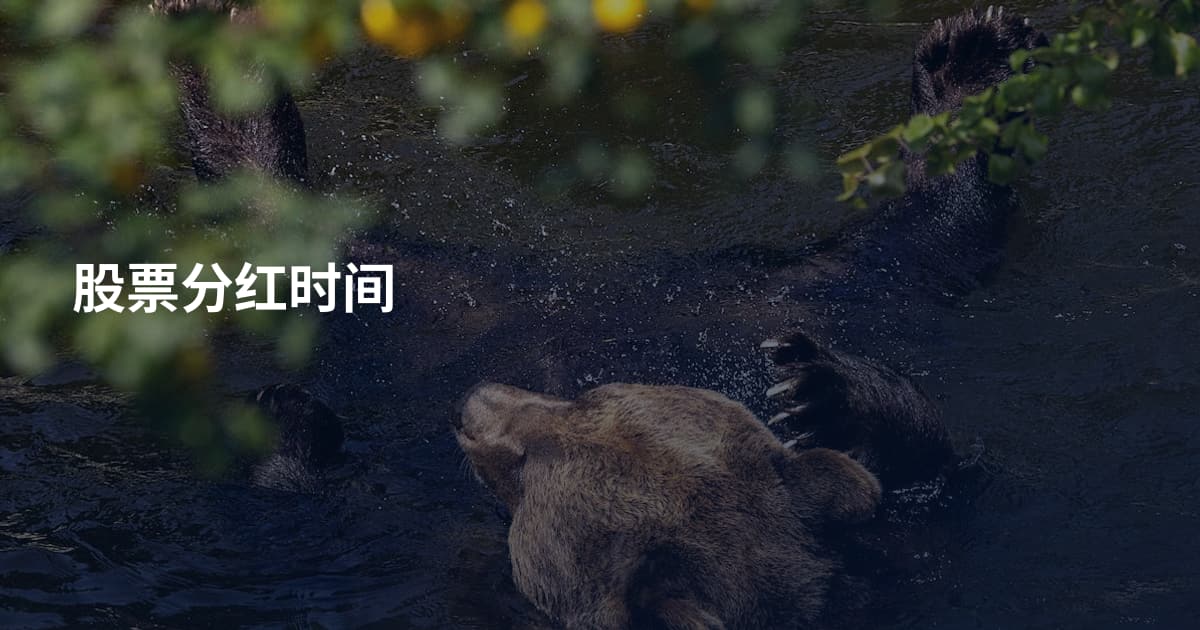 股票分红时间