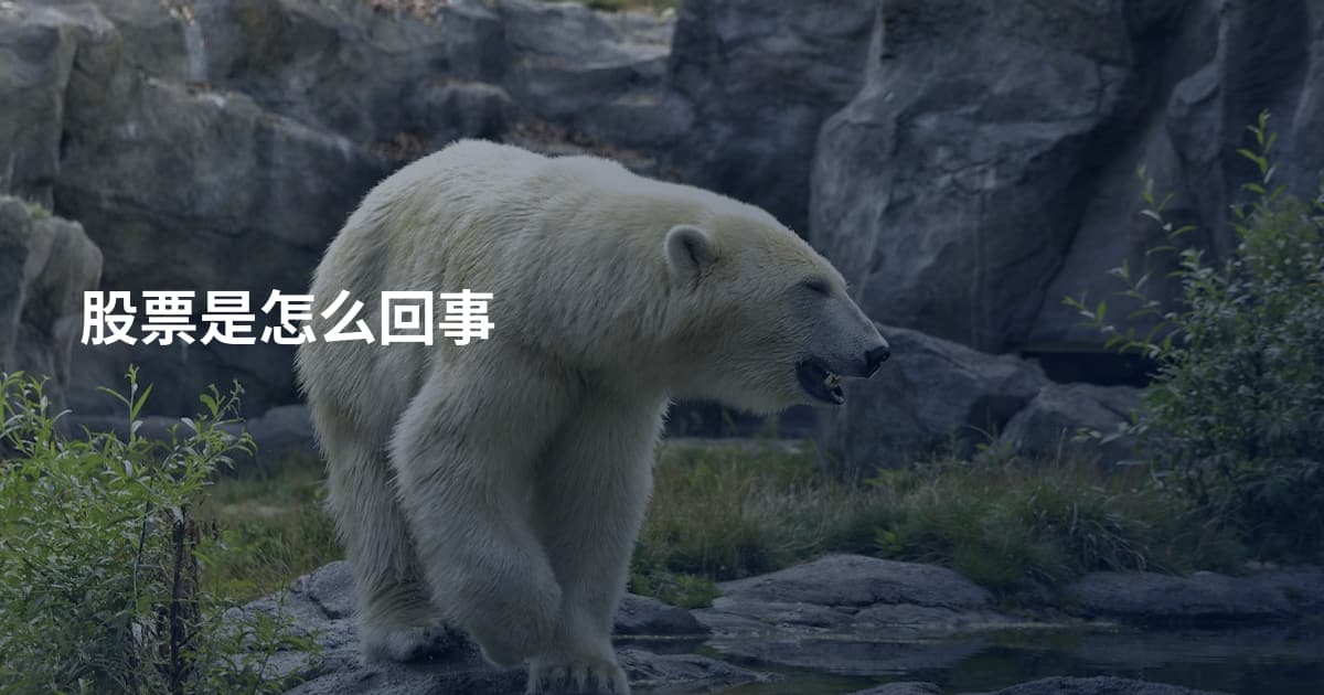 股票是怎么回事