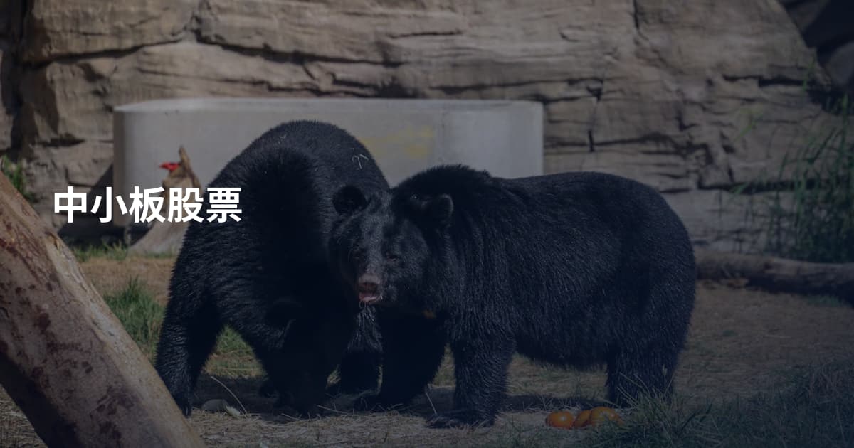 中小板股票