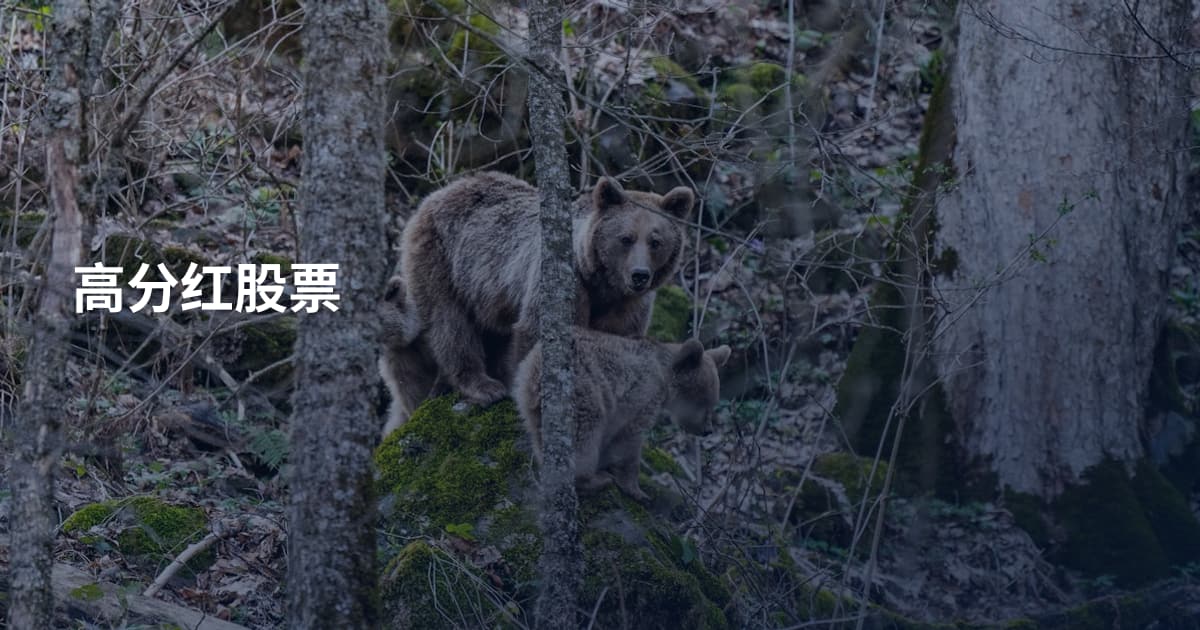 高分红股票