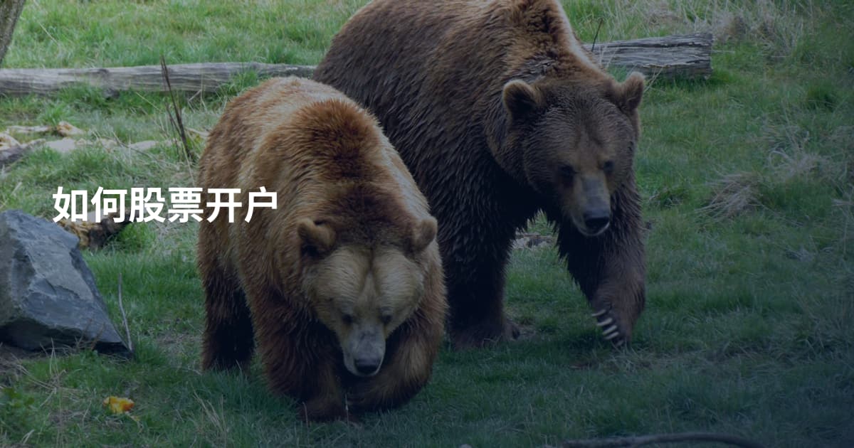 如何股票开户