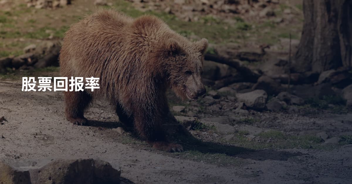 股票回报率