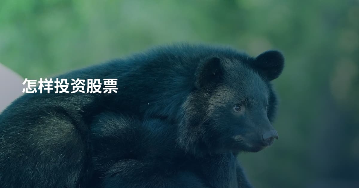 怎样投资股票