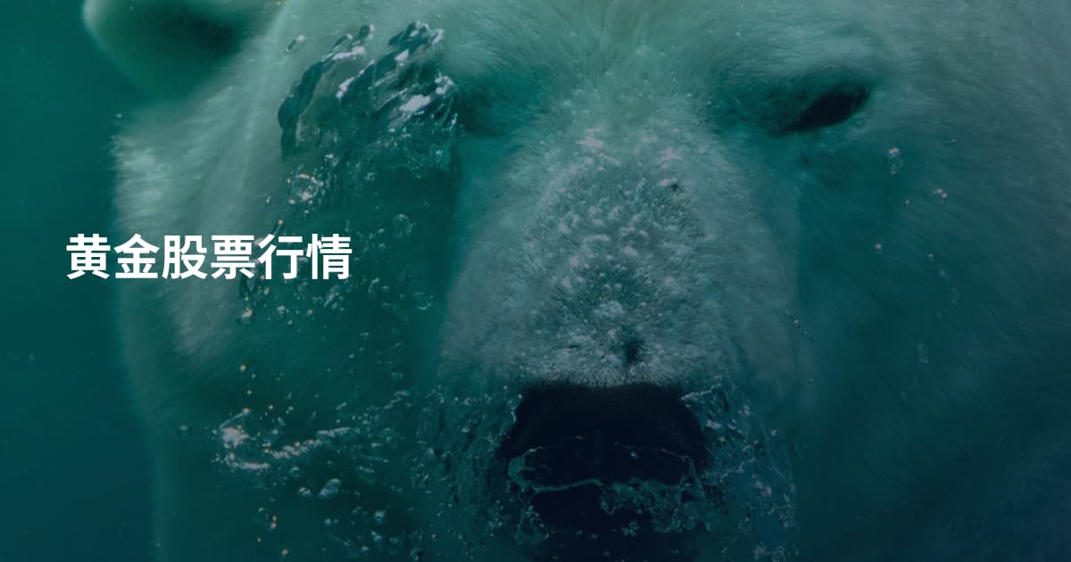 黄金股票行情