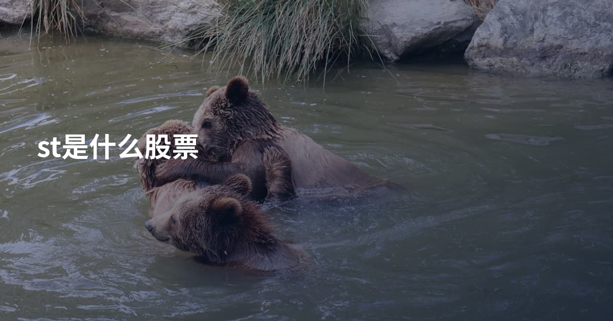 st是什么股票