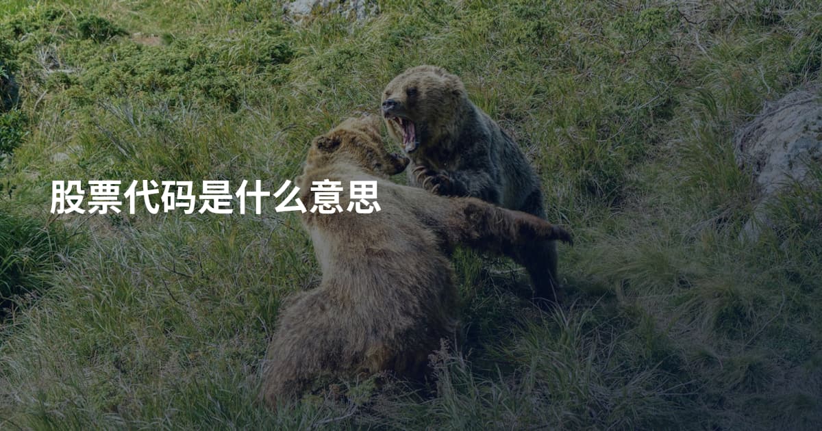 股票代码是什么意思
