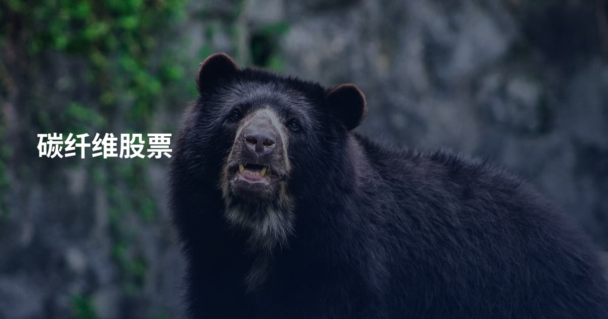 碳纤维股票