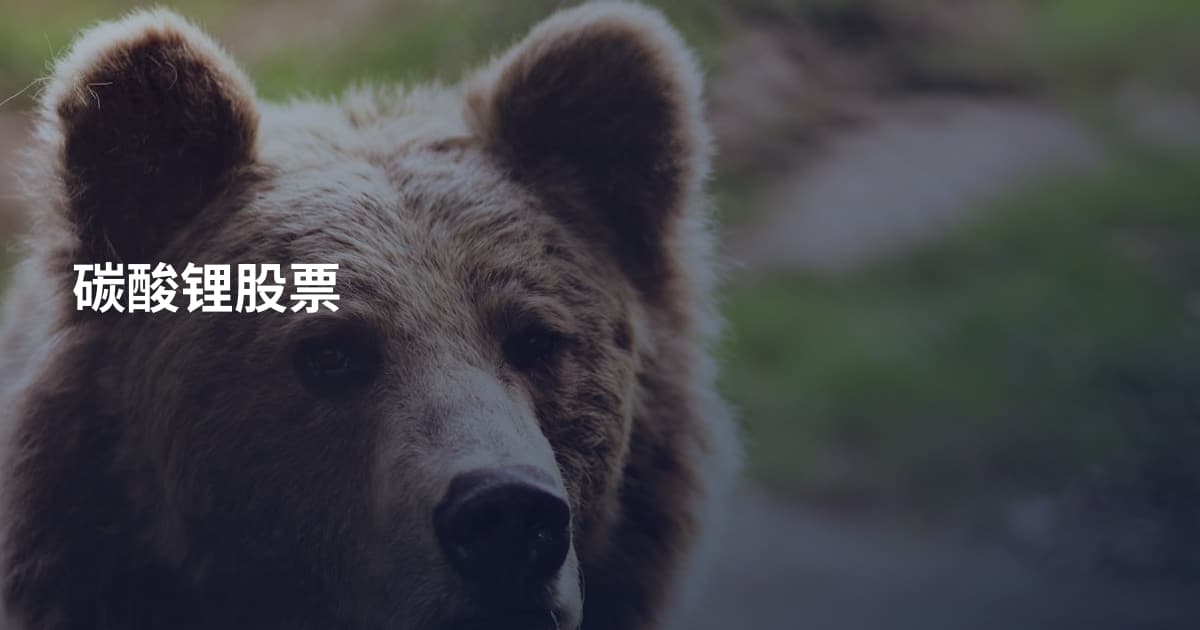 碳酸锂股票