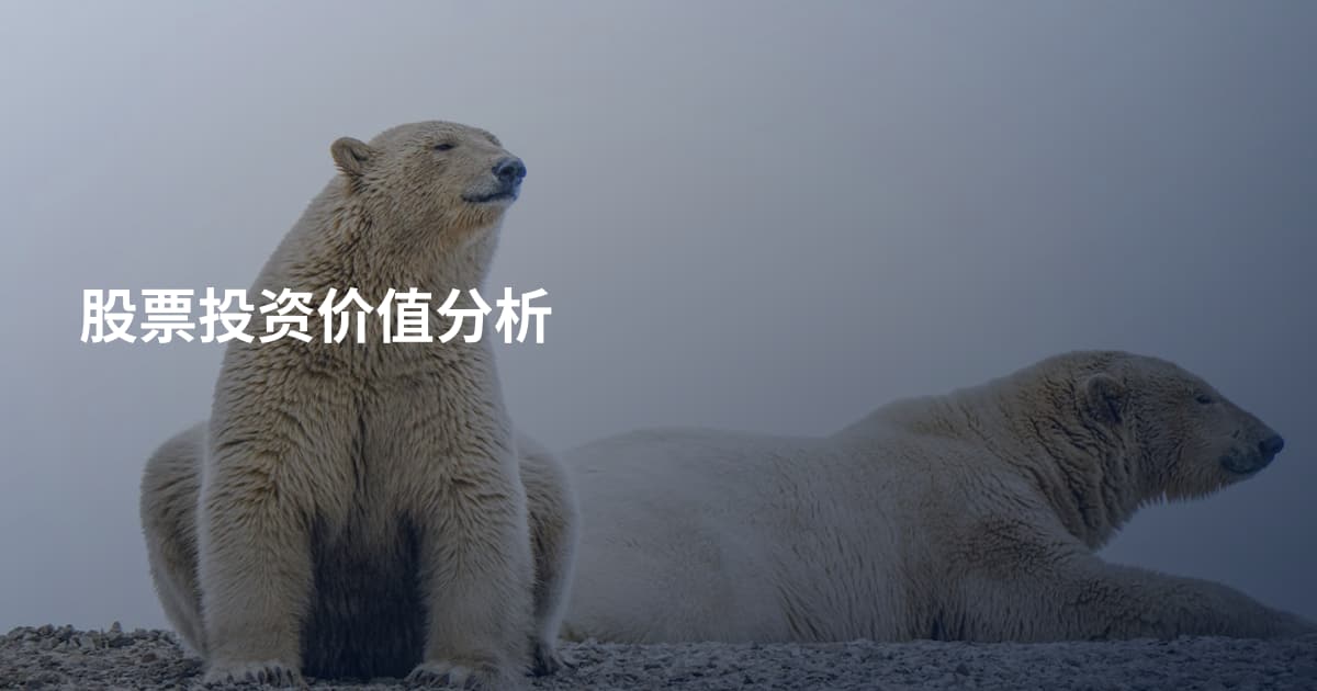 股票投资价值分析