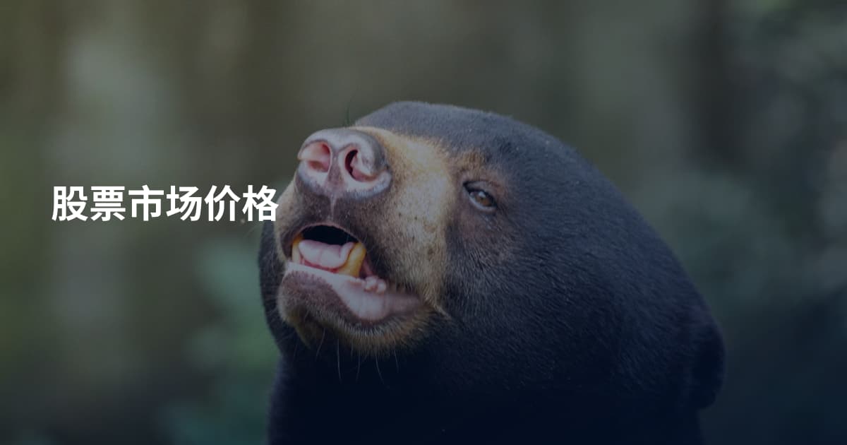 股票市场价格