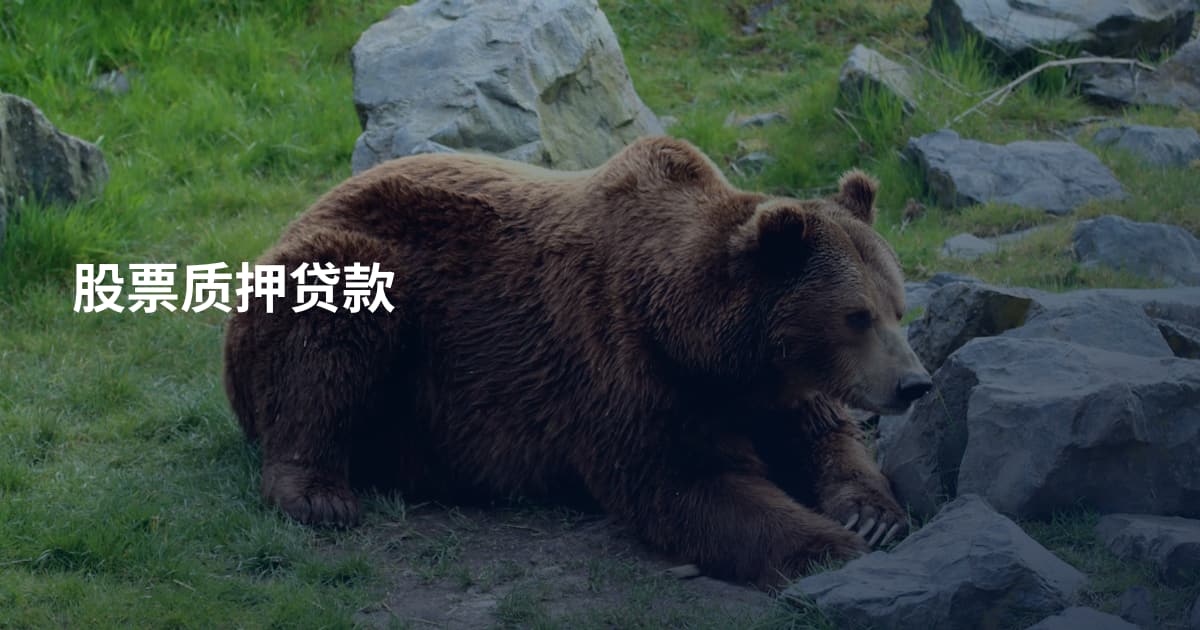 股票质押贷款