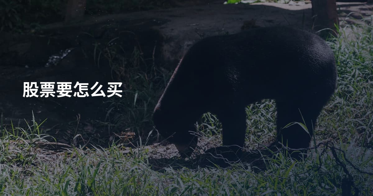 股票要怎么买
