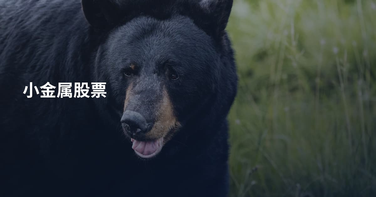 小金属股票