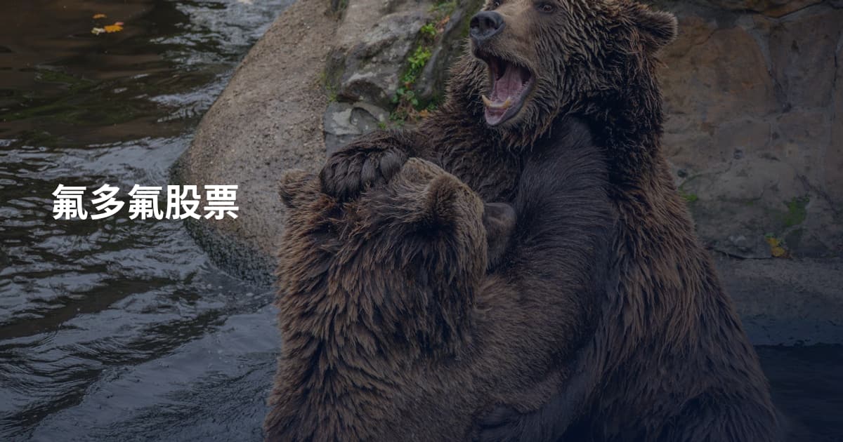 氟多氟股票