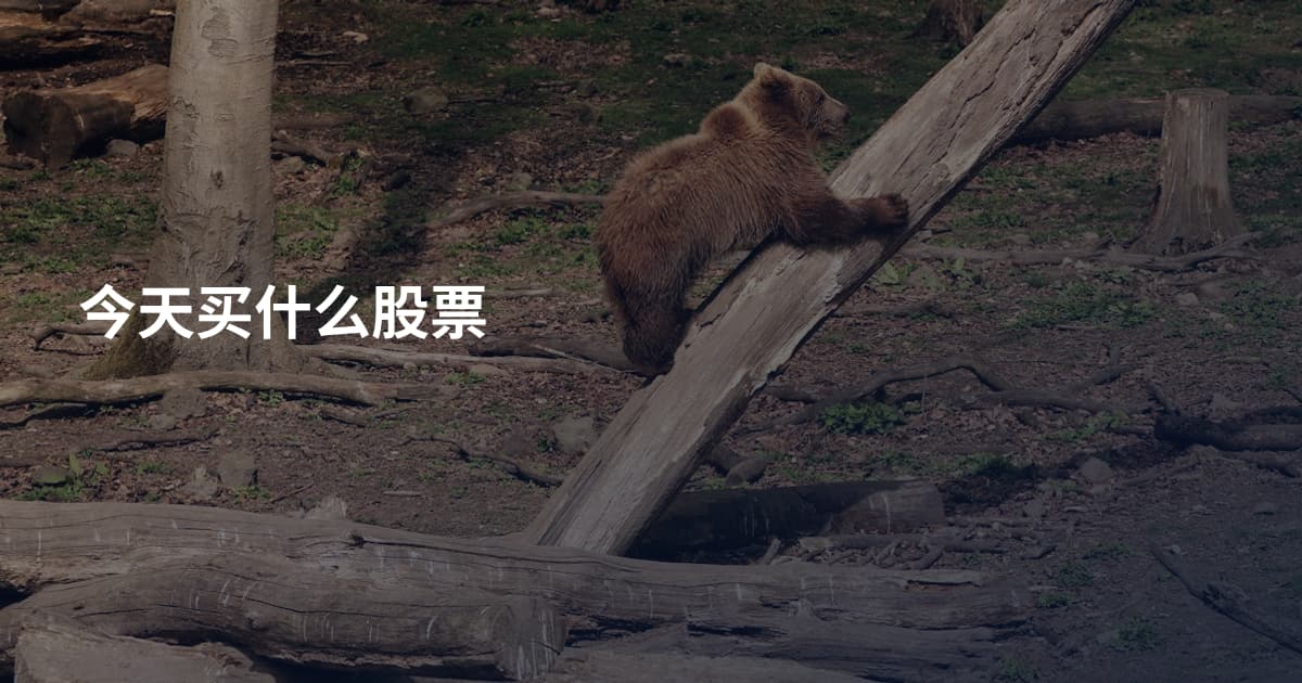 今天买什么股票