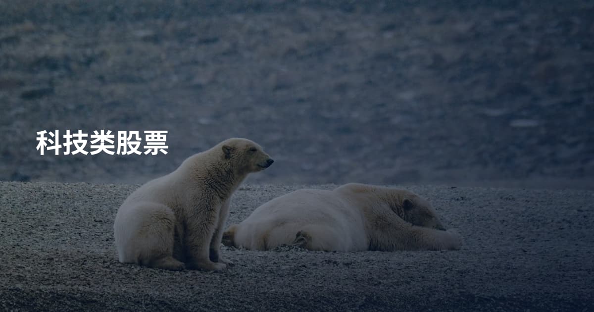 科技类股票