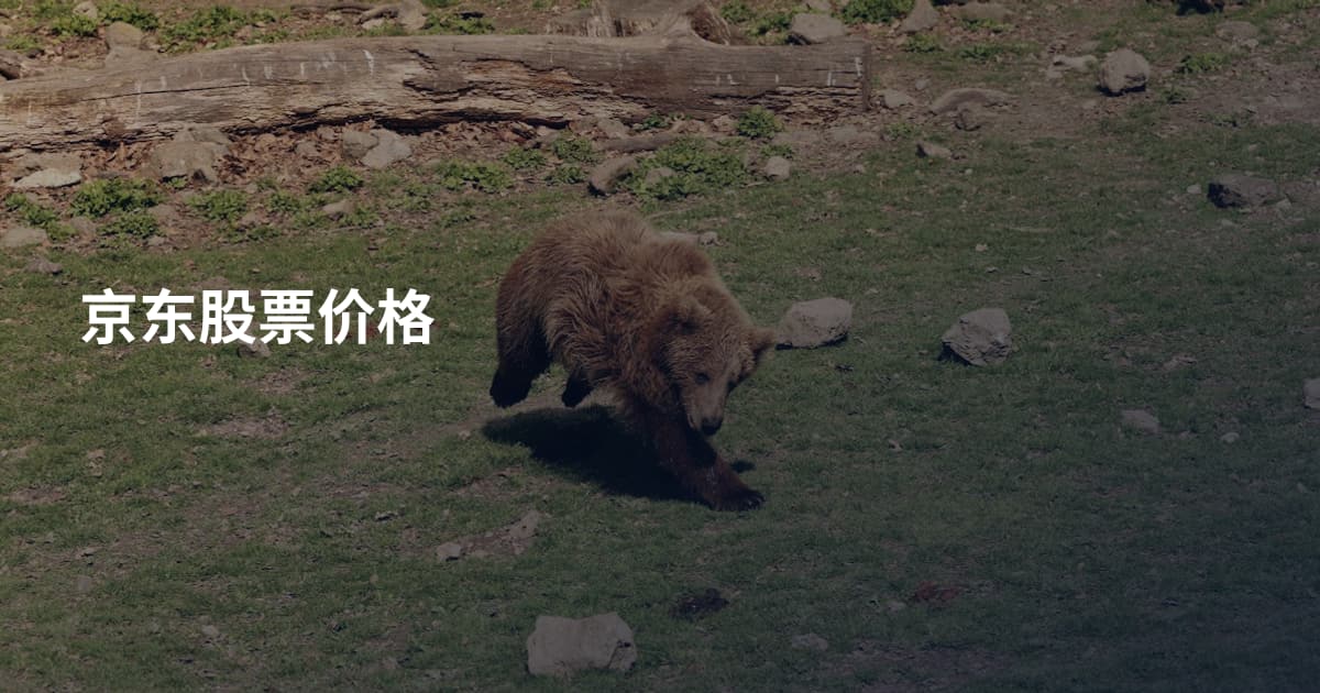 京东股票价格