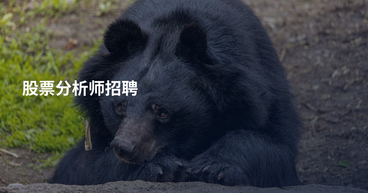 股票分析师招聘