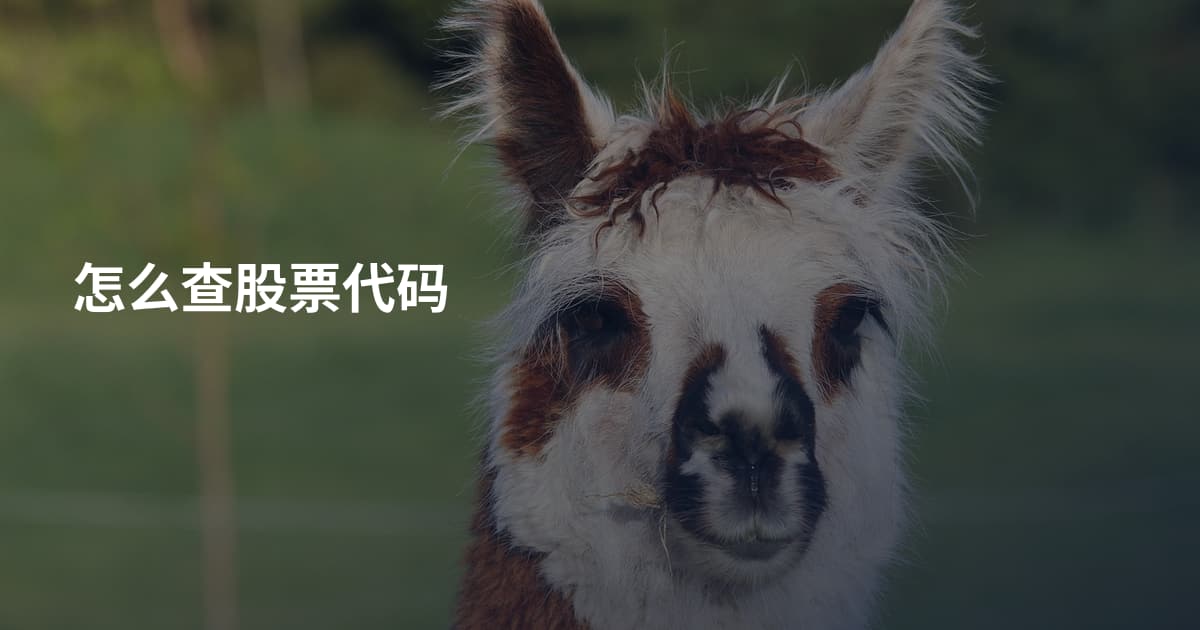 怎么查股票代码
