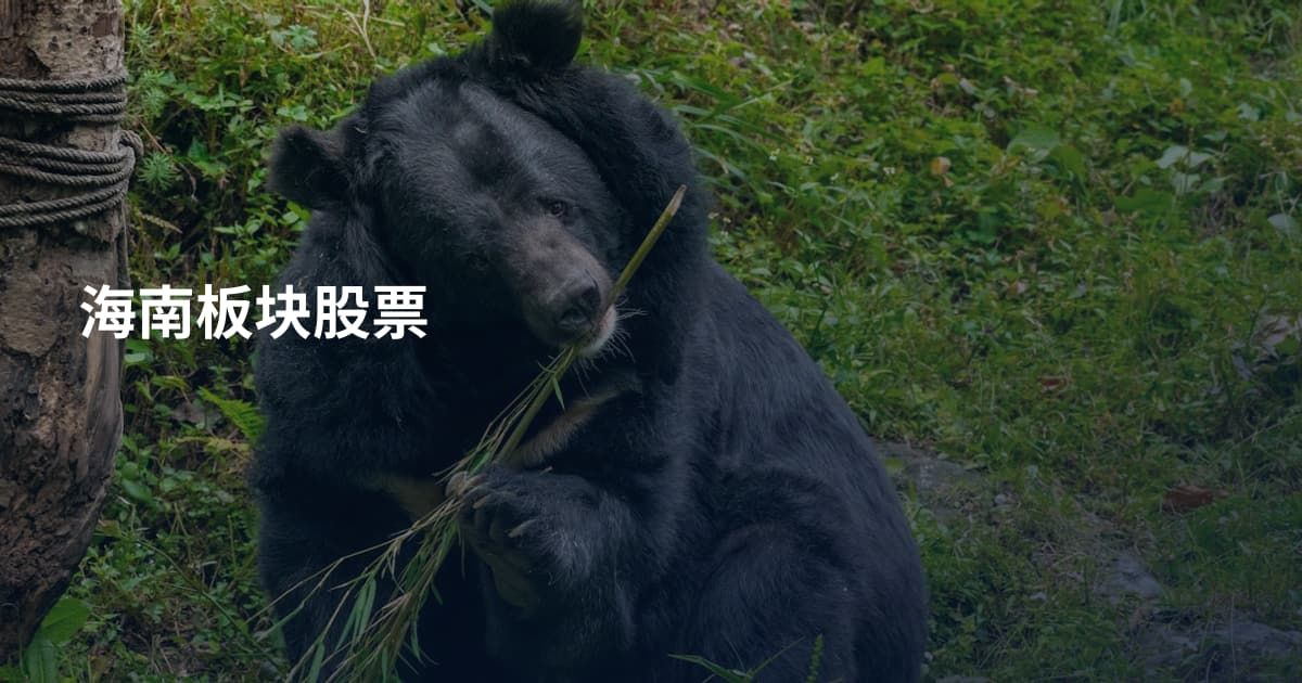 海南板块股票