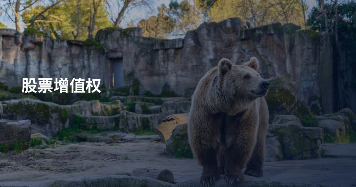 股票增值权