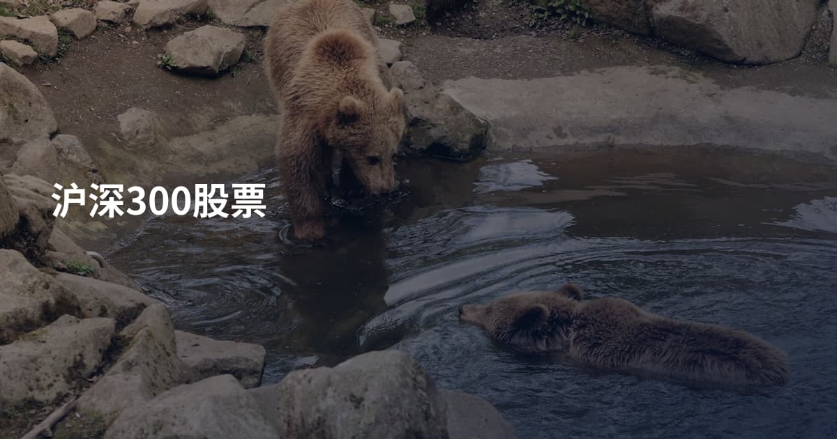 沪深300股票