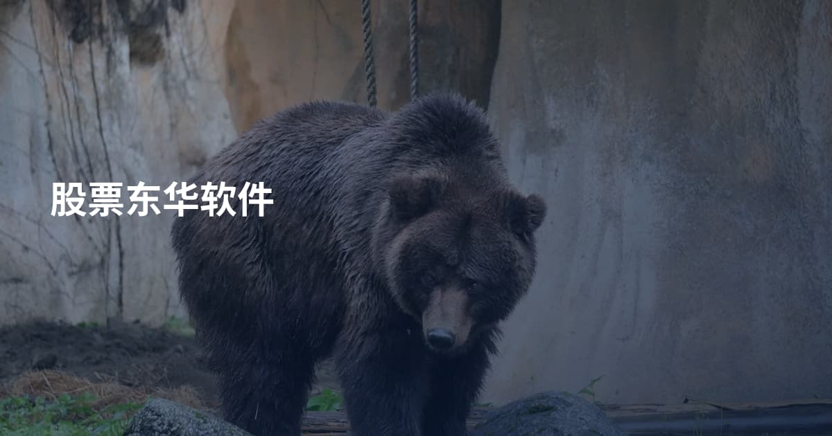 股票东华软件