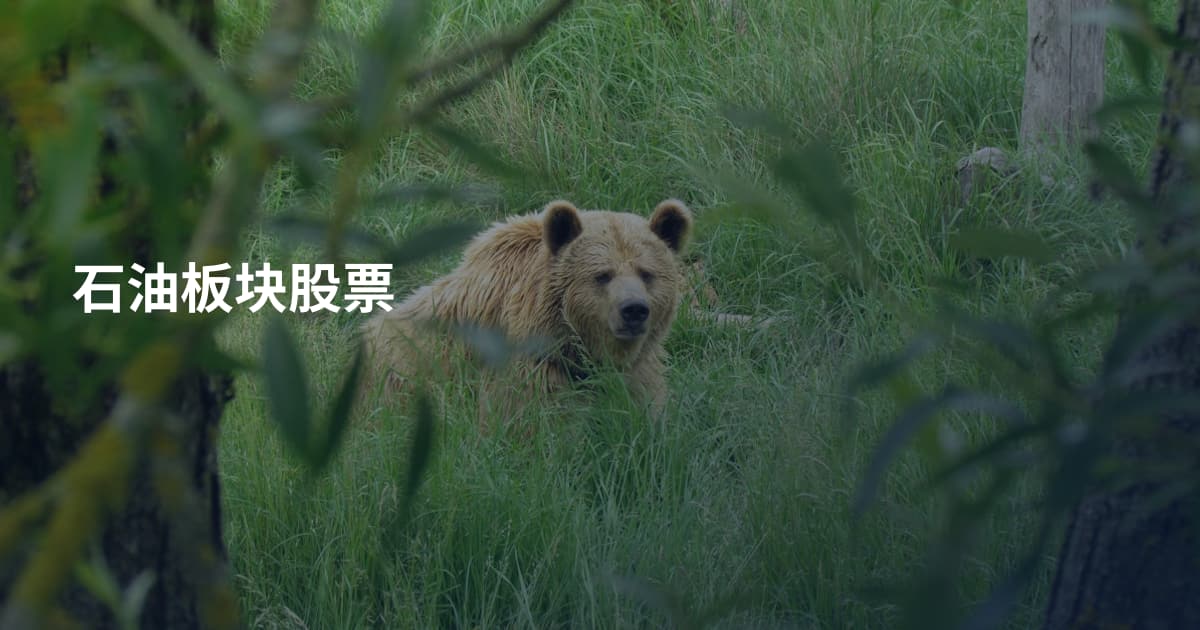 石油板块股票