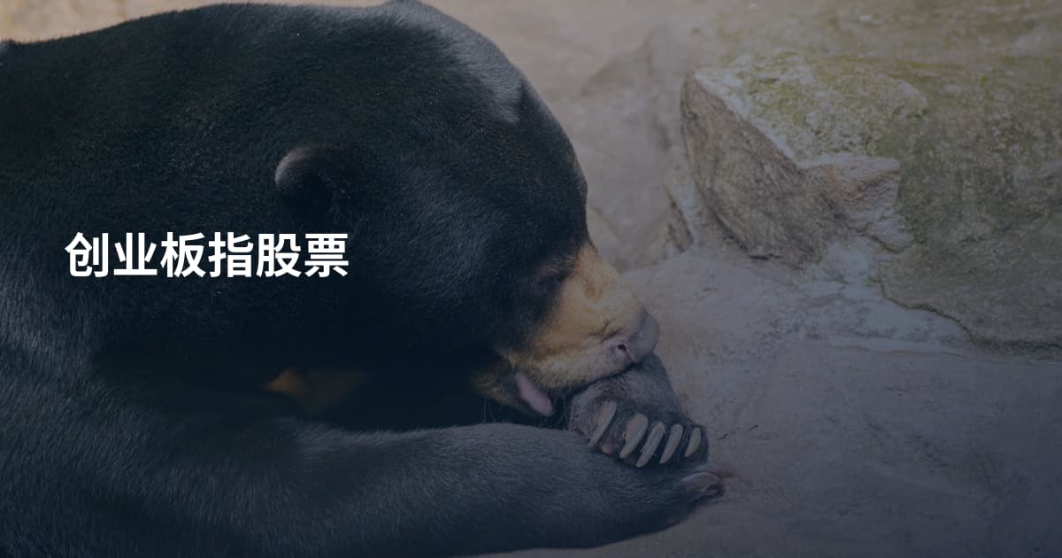 创业板指股票