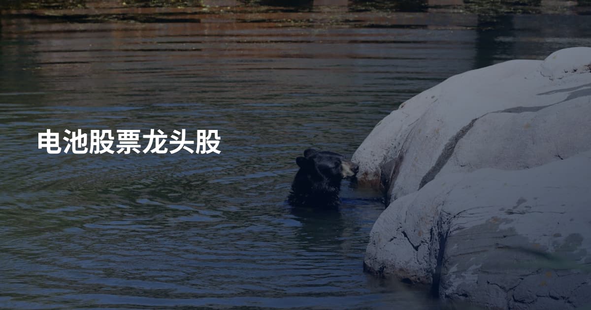 电池股票龙头股