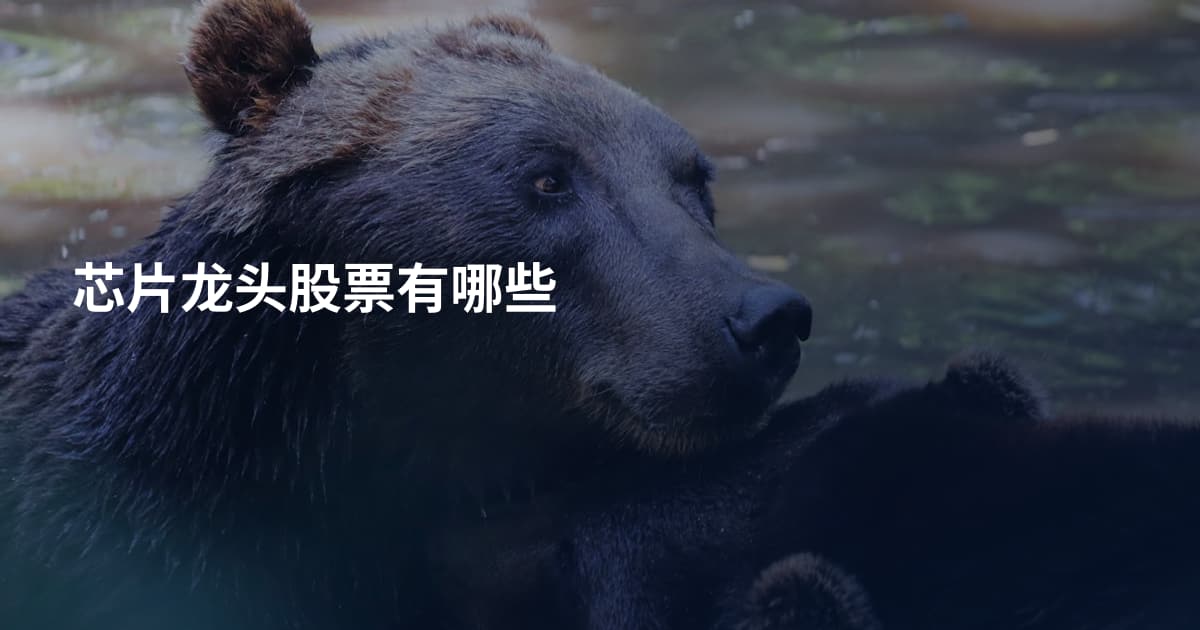 芯片龙头股票有哪些