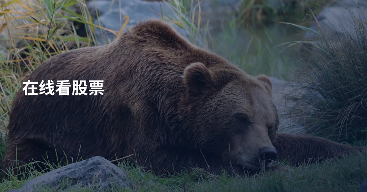 在线看股票