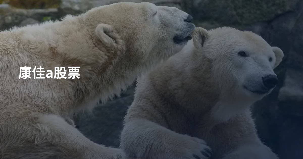 康佳a股票