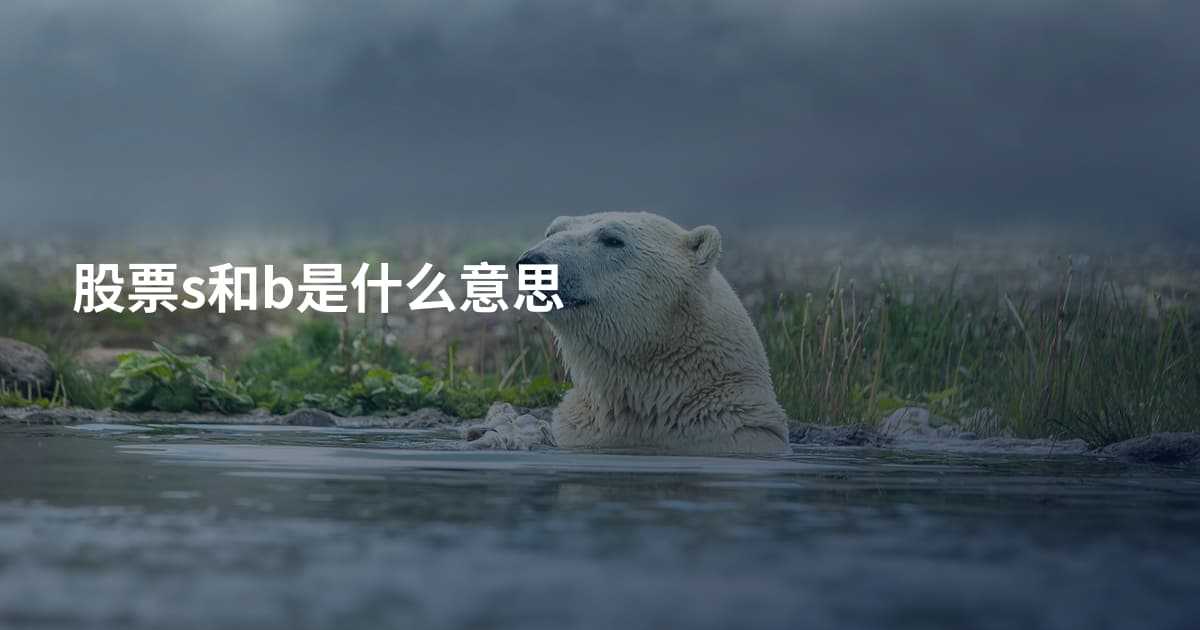 股票s和b是什么意思