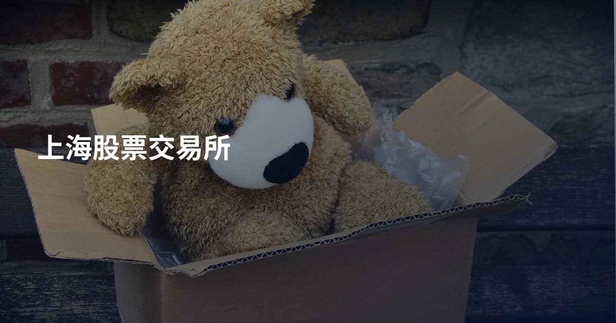 上海股票交易所