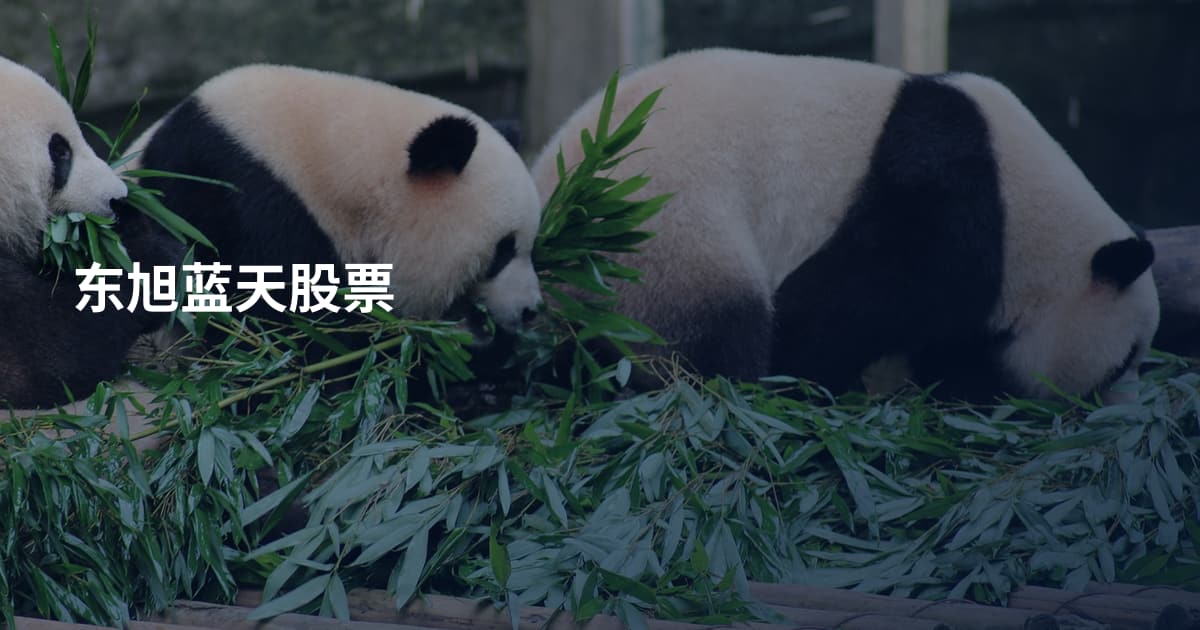 东旭蓝天股票