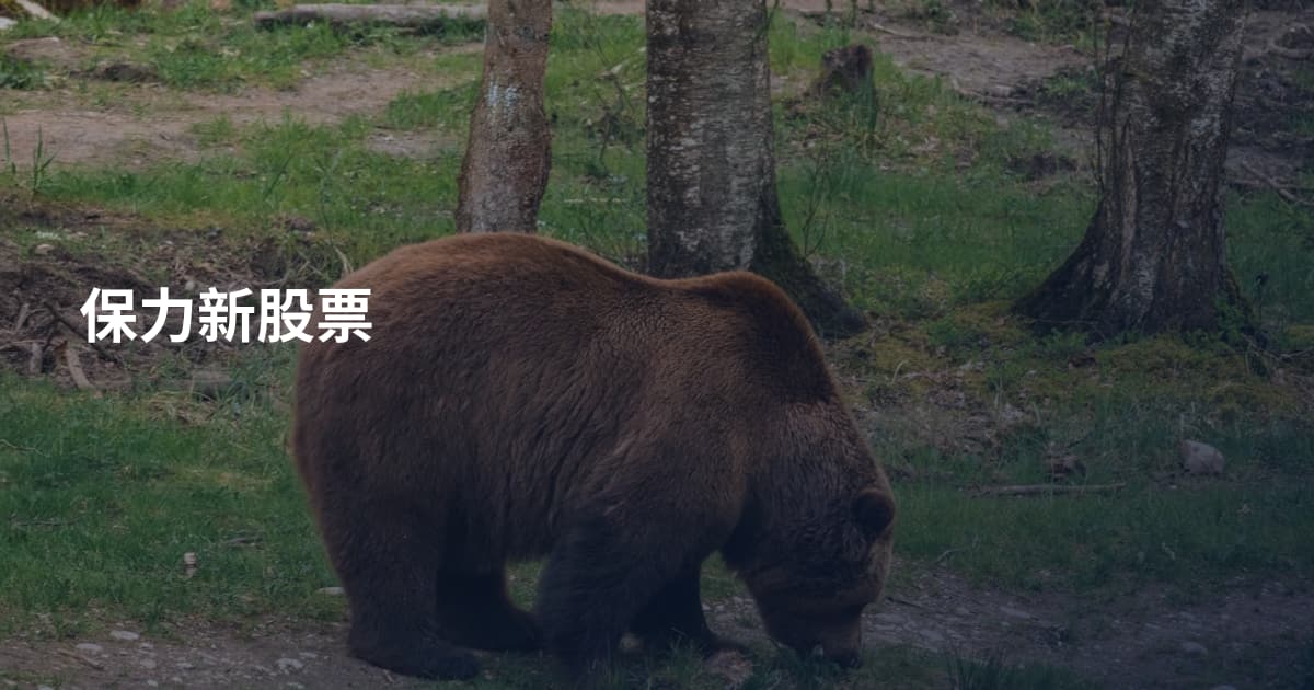 保力新股票