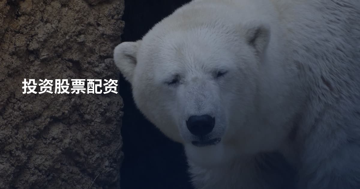 投资股票配资