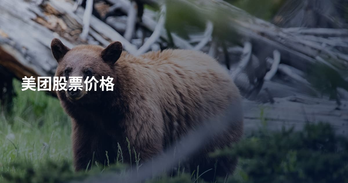 美团股票价格