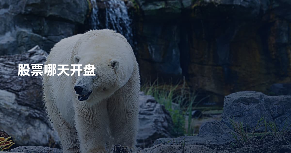 股票哪天开盘