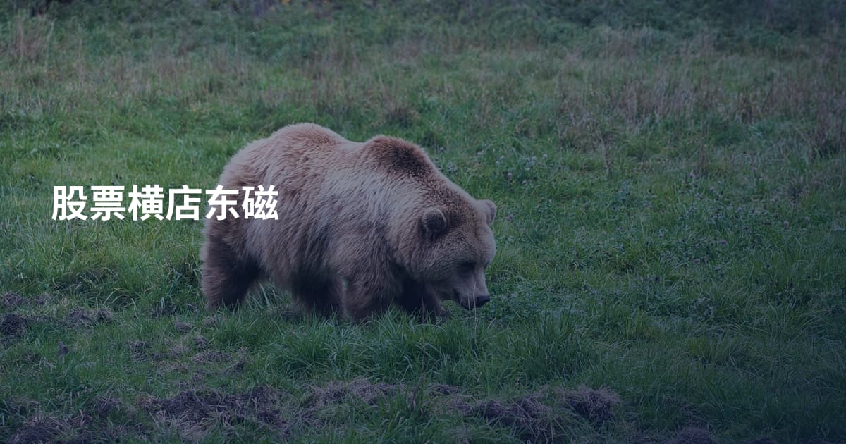 股票横店东磁