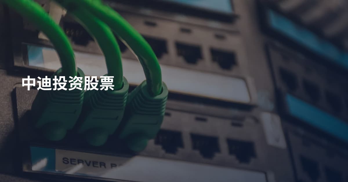 中迪投资股票