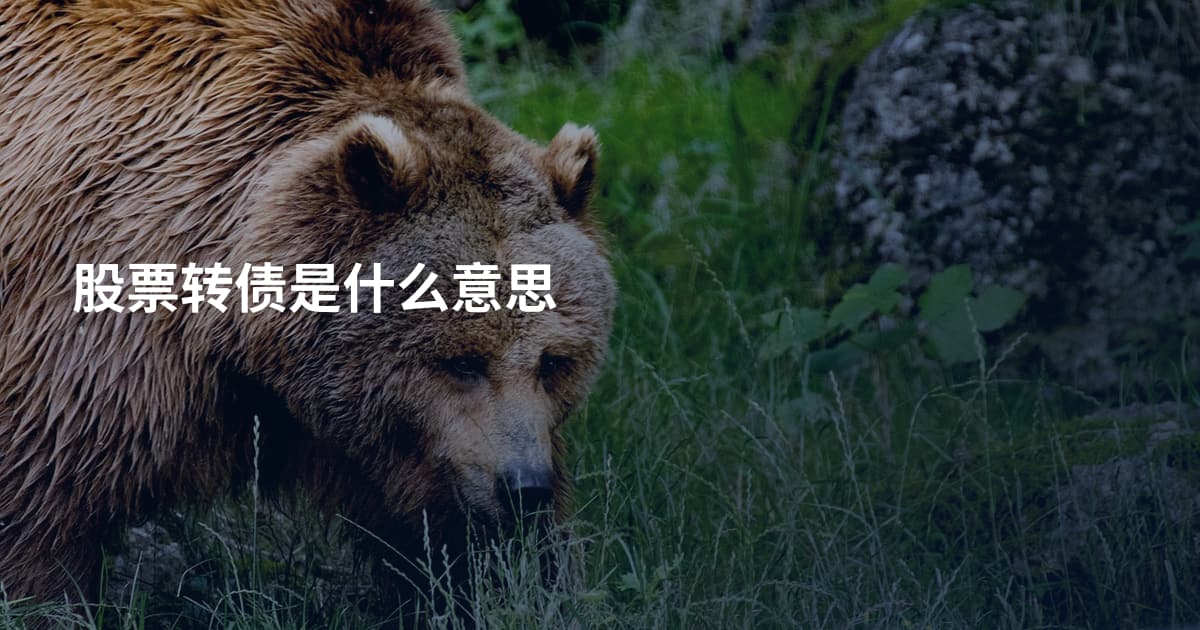 股票转债是什么意思