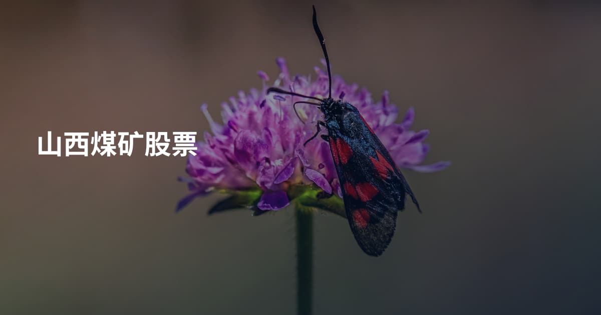山西煤矿股票