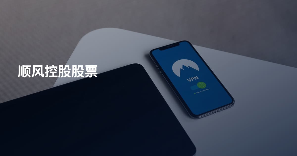 顺风控股股票