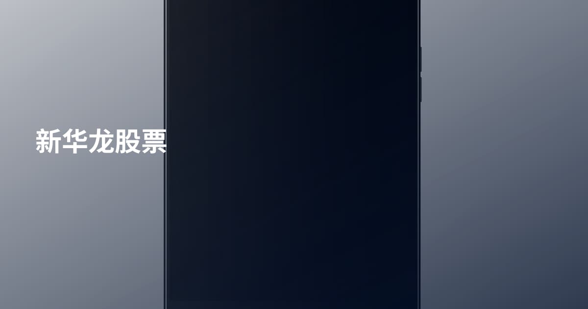 新华龙股票