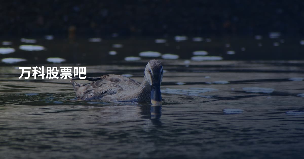 万科股票吧