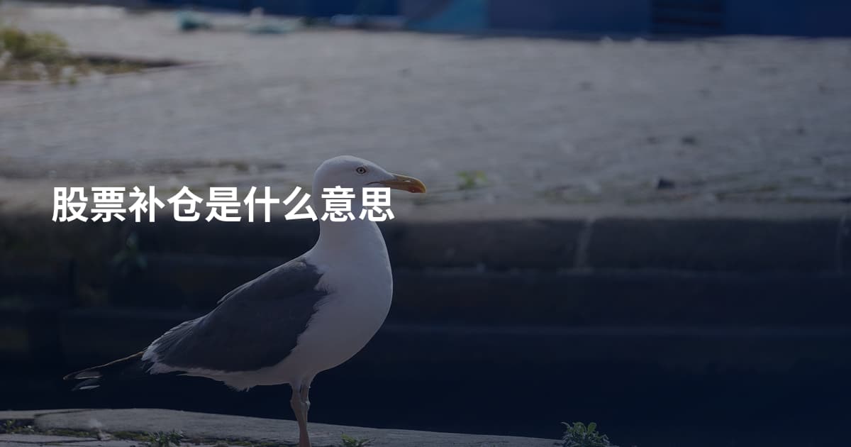 股票补仓是什么意思