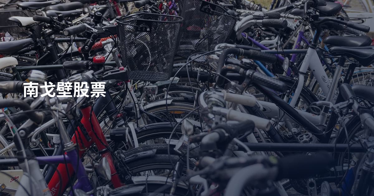 南戈壁股票