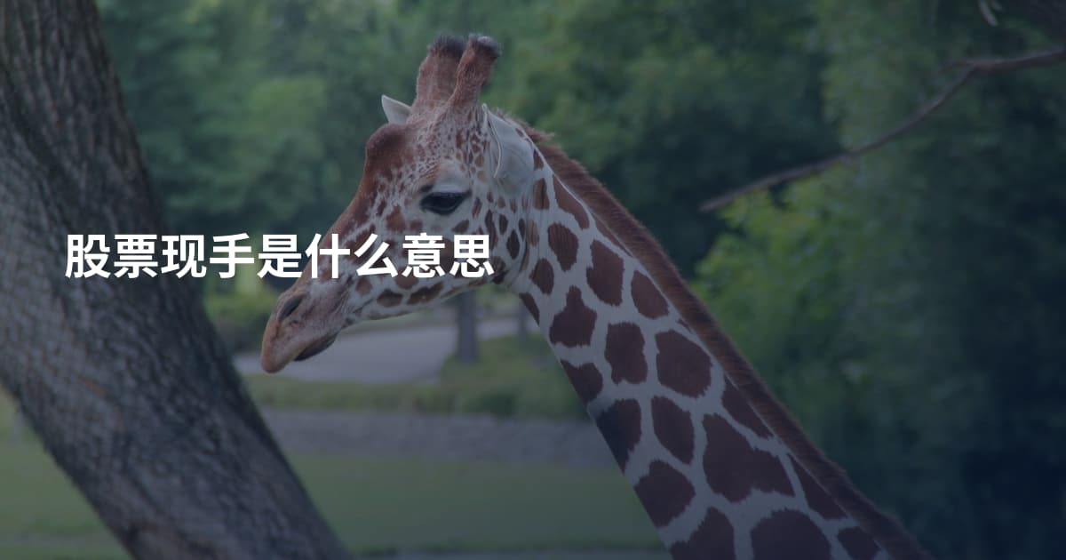 股票现手是什么意思